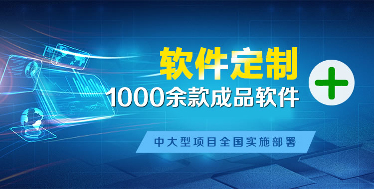 施甸软件开发